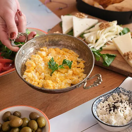 מלון Puerhayal *